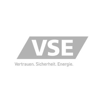 echtgut markeninszenierung projekte Kunden VSE.jpg