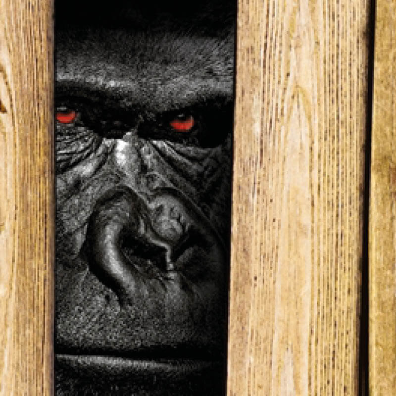 KFI Cargo Control GmbH