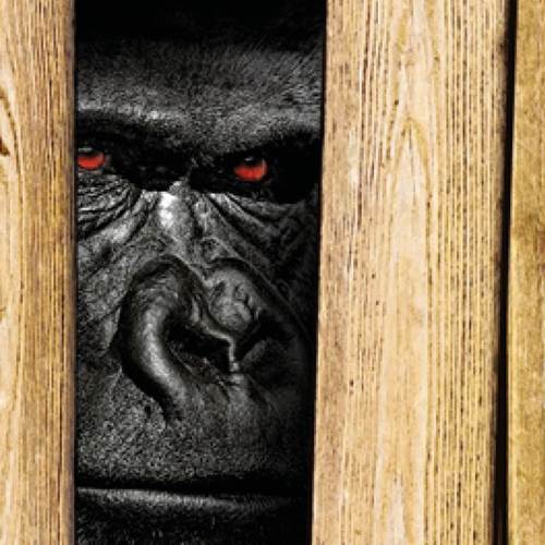 echtgut markeninszenierung projekte KFI Cargo Control GmbH