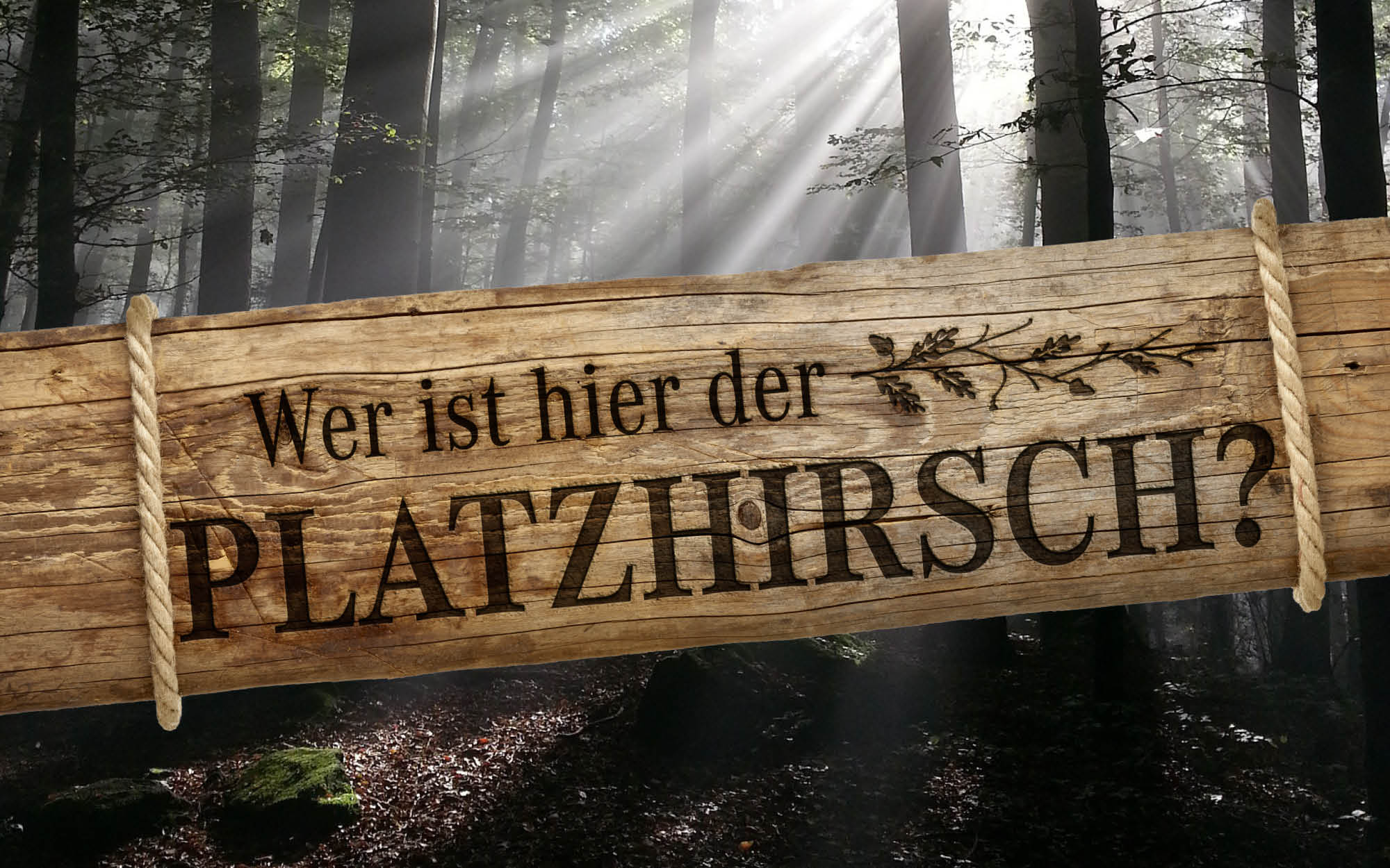 Platzhirsch Projektbeispiel