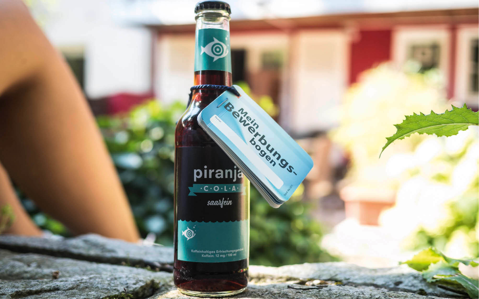 echtgut markeninszenierung Pluscard Projektbeispiel