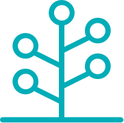 Netzwerk und Expertise